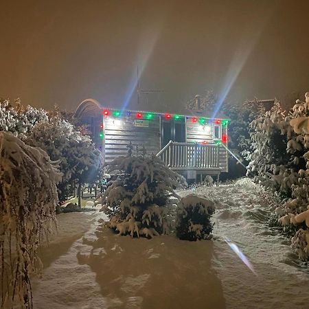 The Little John Petite Cosy Log Cabin - Sleeps 2, Great For Romantic Breaks, Couples, Single Guests, Near Sherwood Forest At Fairview Farm, Nottingham Set In 88 Acres Blidworth ภายนอก รูปภาพ